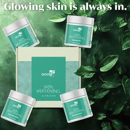 Skin Whitening Facial Kit
